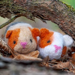 Selber filzen mit Anleitung DIY Filz Set Meerschweinchen Level 2 ab 4 Jahre